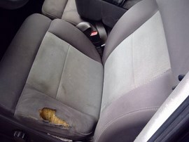 2005 FORD F-150 NAVY BLUE CREW CAB 5.4L AT